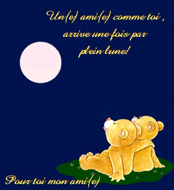pour vous les amies lol