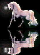 voici  une licorne po mal du tout