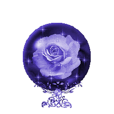 une ptite rose violet bleu