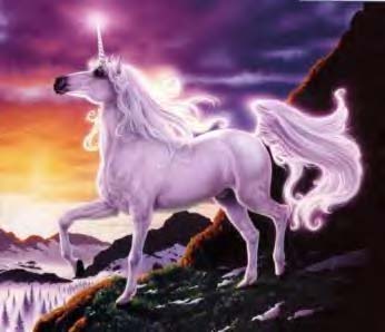 voila une licorne tro belle