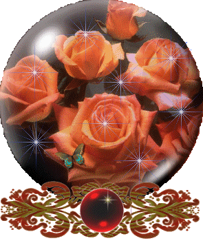 des  belles rose ...