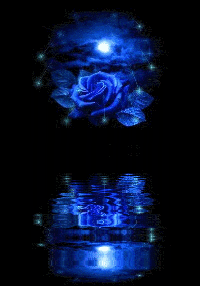rose bleu