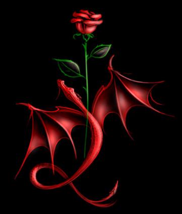  la rose rouge elle es magnifique
