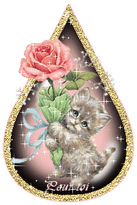 oh un  pti chaton il es mimi avec sa rose