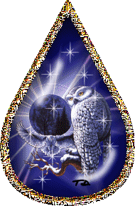 un ptit hibou