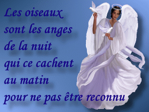 belle ange
