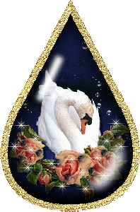 une cigone