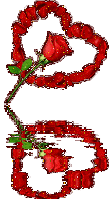 rose rouge