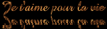 je t' aimeee pour la vie