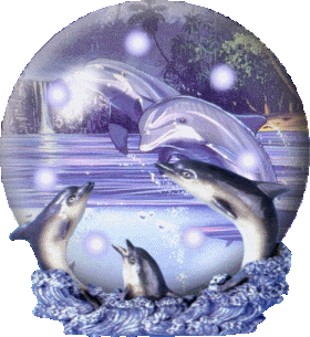 les dauphins