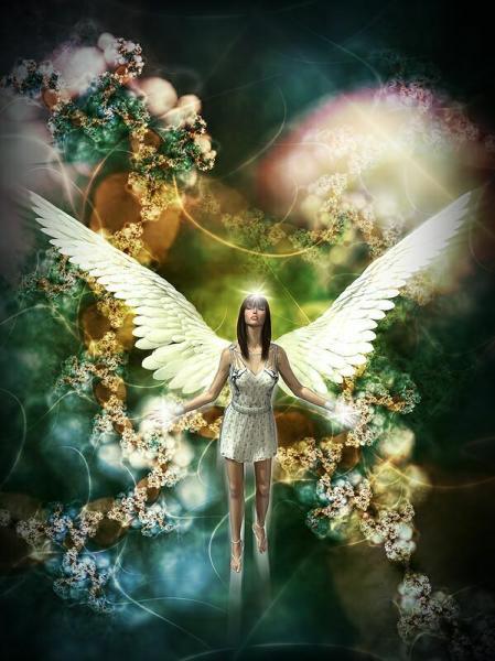 un bel ange